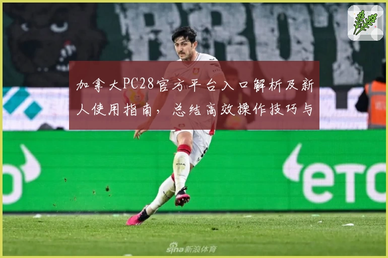 加拿大PC28官方平台入口解析及新人使用指南，总结高效操作技巧与核心功能亮点