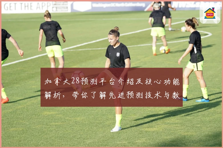 加拿大28预测平台介绍及核心功能解析,带你了解先进预测技术与数据应用