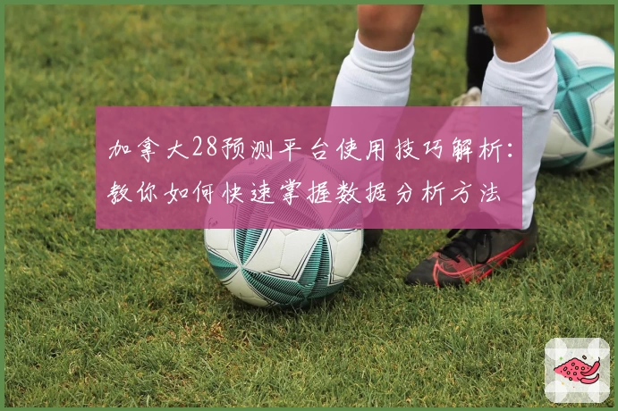 加拿大28预测平台使用技巧解析：教你如何快速掌握数据分析方法