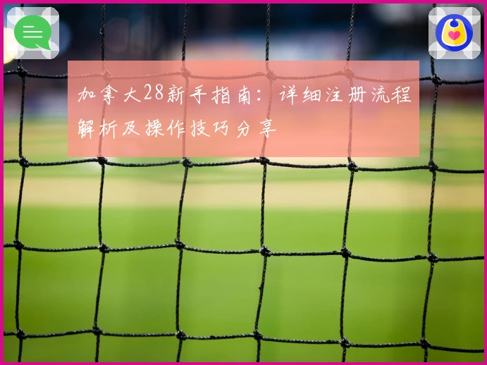 加拿大28新手指南：详细注册流程解析及操作技巧分享
