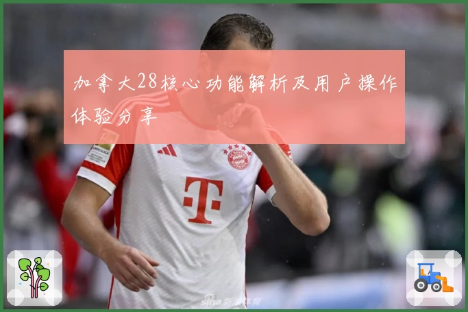 加拿大28核心功能解析及用户操作体验分享