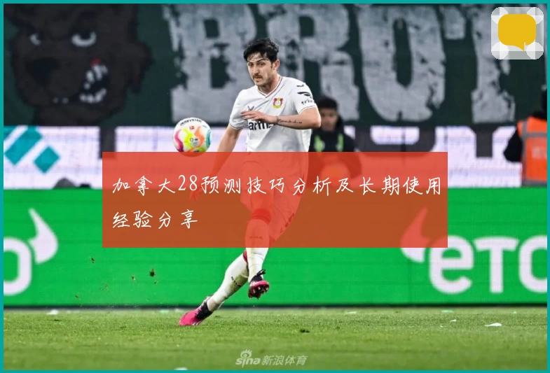 加拿大28预测技巧分析及长期使用经验分享