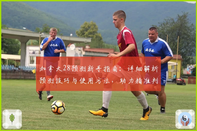 加拿大28预测新手指南：详细解析预测技巧与使用方法，助力精准判断提高命中率