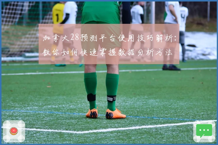 加拿大28预测平台使用技巧解析:教你如何快速掌握数据分析方法