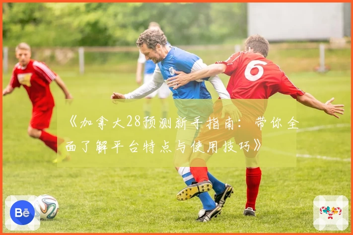 《加拿大28预测新手指南:带你全面了解平台特点与使用技巧》