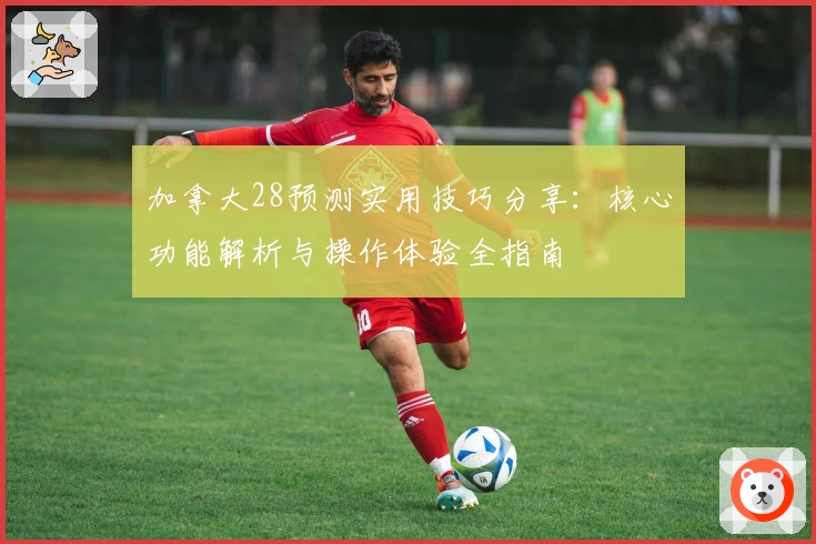 加拿大28预测实用技巧分享：核心功能解析与操作体验全指南