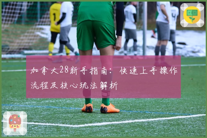 加拿大28新手指南：快速上手操作流程及核心玩法解析