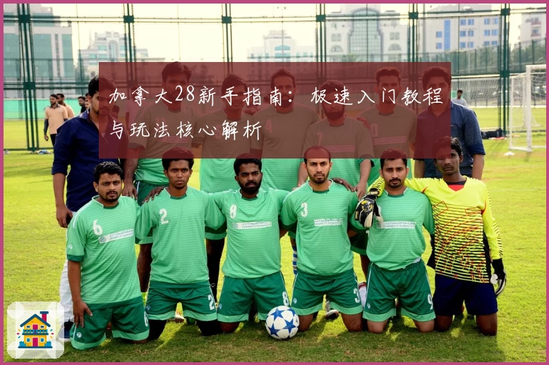 加拿大28新手指南：极速入门教程与玩法核心解析