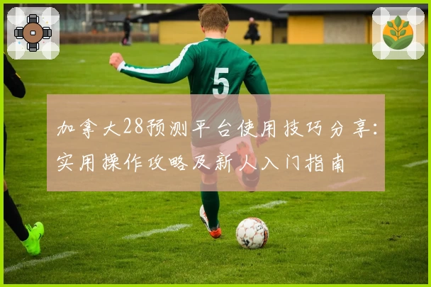 加拿大28预测平台使用技巧分享：实用操作攻略及新人入门指南