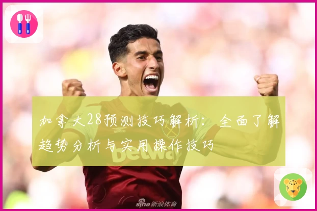 加拿大28预测技巧解析：全面了解趋势分析与实用操作技巧