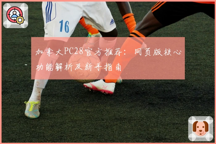 加拿大PC28官方推荐：网页版核心功能解析及新手指南